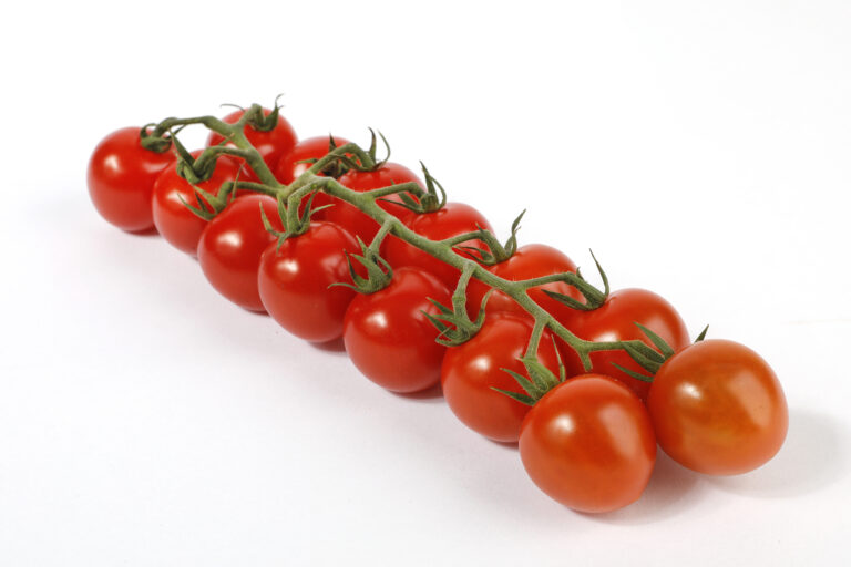 Studio product photograph of cherry tomatoes on the vine