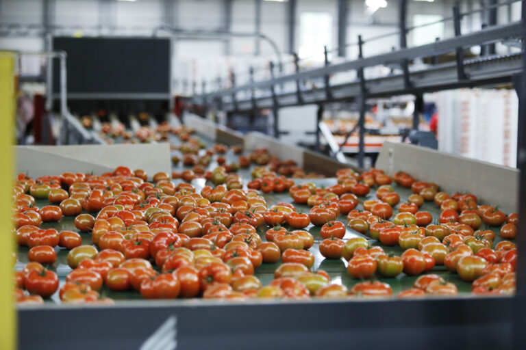 Production line inside a client facility